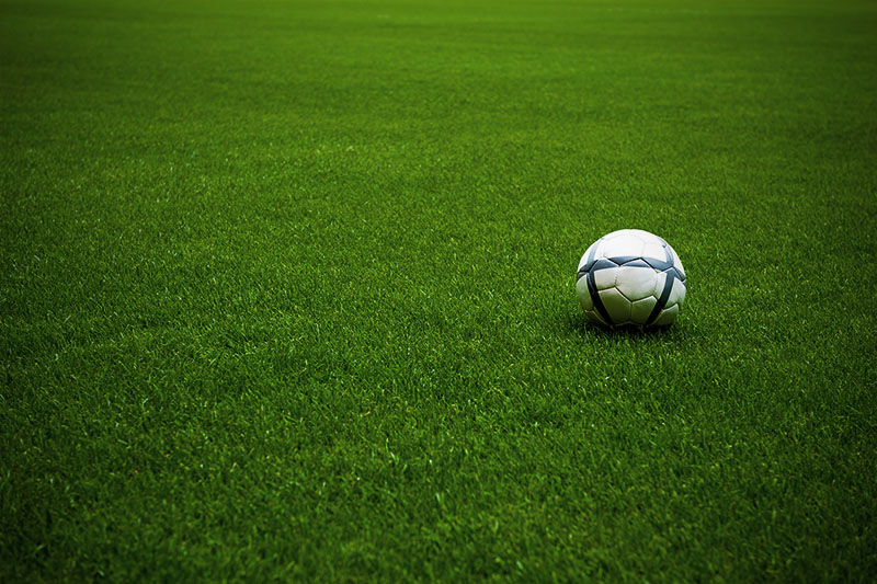 soccer ball on playing lawn